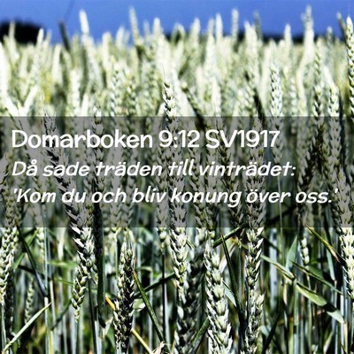 Picture 02 - Domarboken 9:12 SV1917 - Då sade träden till vinträdet: 'Kom du och - Bible Verse Picture