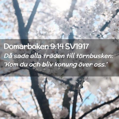 Picture 02 - Domarboken 9:14 SV1917 - Då sade alla träden till törnbusken: 'Kom du - Bible Verse Picture