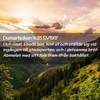 Picture 02 - Domarboken 9:35 SV1917 - Och Gaal, Ebeds son, kom ut och ställde sig vid - Bible Verse Picture