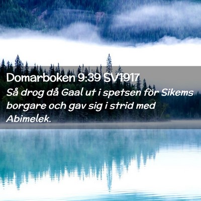 Picture 02 - Domarboken 9:39 SV1917 - Så drog då Gaal ut i spetsen för Sikems - Bible Verse Picture