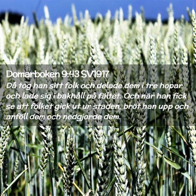 Picture 02 - Domarboken 9:43 SV1917 - Då tog han sitt folk och delade dem i tre hopar - Bible Verse Picture