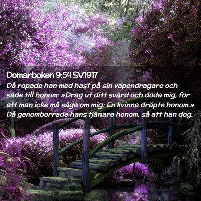 Picture 02 - Domarboken 9:54 SV1917 - Då ropade han med hast på sin vapendragare och - Bible Verse Picture