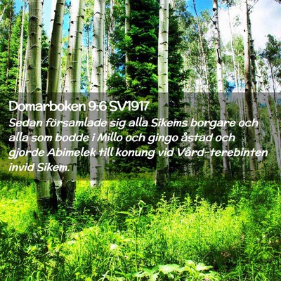 Picture 02 - Domarboken 9:6 SV1917 - Sedan församlade sig alla Sikems borgare och - Bible Verse Picture