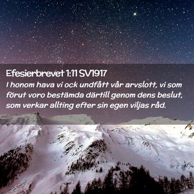 Picture 02 - Efesierbrevet 1:11 SV1917 - I honom hava vi ock undfått vår arvslott, vi - Bible Verse Picture