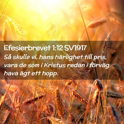 Picture 02 - Efesierbrevet 1:12 SV1917 - Så skulle vi, hans härlighet till pris, vara de - Bible Verse Picture