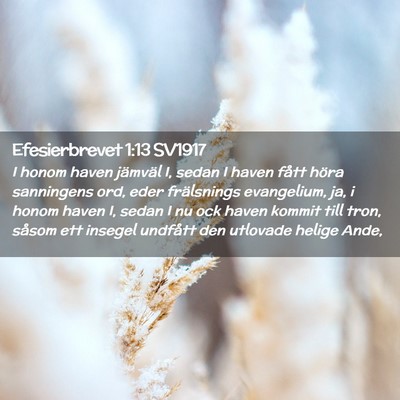 Picture 02 - Efesierbrevet 1:13 SV1917 - I honom haven jämväl I, sedan I haven fått - Bible Verse Picture