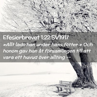 Picture 02 - Efesierbrevet 1:22 SV1917 - »Allt lade han under hans fötter.» Och honom - Bible Verse Picture