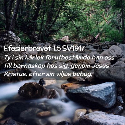 Picture 02 - Efesierbrevet 1:5 SV1917 - Ty i sin kärlek förutbestämde han oss till - Bible Verse Picture
