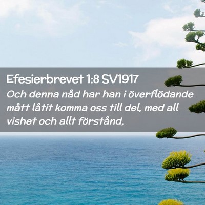 Picture 02 - Efesierbrevet 1:8 SV1917 - Och denna nåd har han i överflödande mått - Bible Verse Picture