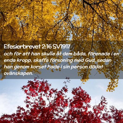 Picture 02 - Efesierbrevet 2:16 SV1917 - och för att han skulle åt dem båda, förenade - Bible Verse Picture