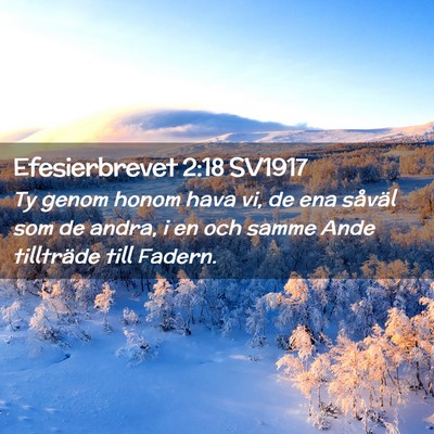 Picture 02 - Efesierbrevet 2:18 SV1917 - Ty genom honom hava vi, de ena såväl som de - Bible Verse Picture