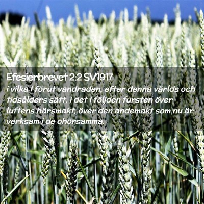 Picture 02 - Efesierbrevet 2:2 SV1917 - i vilka I förut vandraden, efter denna världs - Bible Verse Picture