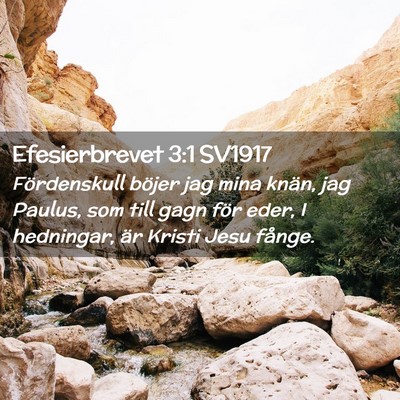 Picture 02 - Efesierbrevet 3:1 SV1917 - Fördenskull böjer jag mina knän, jag Paulus, - Bible Verse Picture