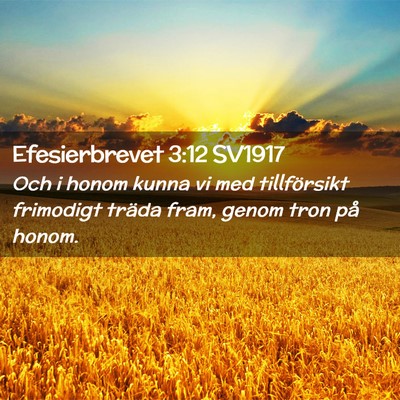 Picture 02 - Efesierbrevet 3:12 SV1917 - Och i honom kunna vi med tillförsikt frimodigt - Bible Verse Picture