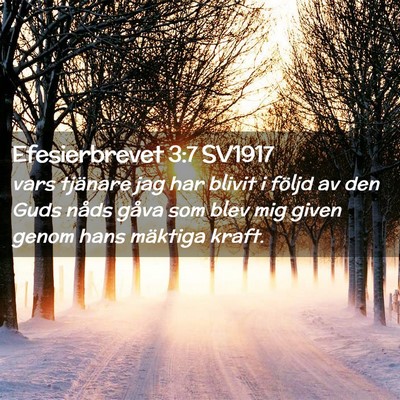 Picture 02 - Efesierbrevet 3:7 SV1917 - vars tjänare jag har blivit i följd av den Guds - Bible Verse Picture