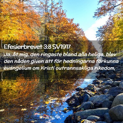 Picture 02 - Efesierbrevet 3:8 SV1917 - Ja, åt mig, den ringaste bland alla heliga, blev - Bible Verse Picture
