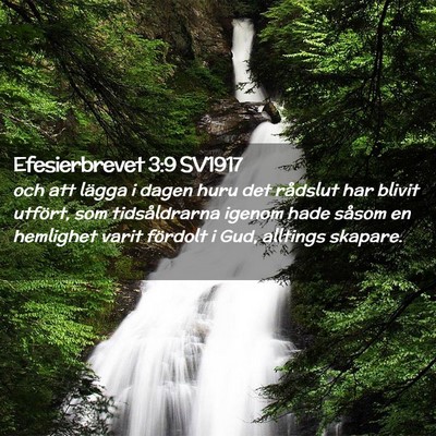 Picture 02 - Efesierbrevet 3:9 SV1917 - och att lägga i dagen huru det rådslut har - Bible Verse Picture