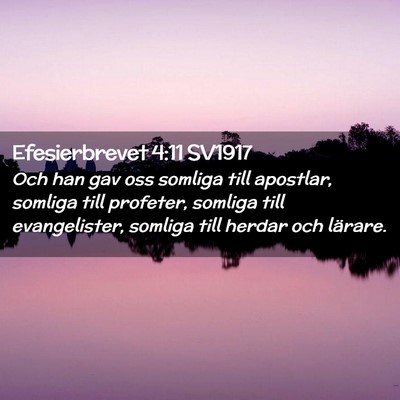 Picture 02 - Efesierbrevet 4:11 SV1917 - Och han gav oss somliga till apostlar, somliga - Bible Verse Picture