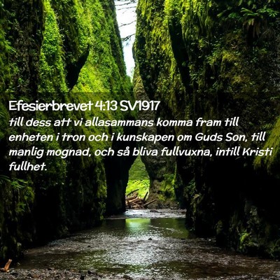 Picture 02 - Efesierbrevet 4:13 SV1917 - till dess att vi allasammans komma fram till - Bible Verse Picture