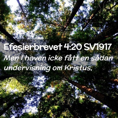 Picture 02 - Efesierbrevet 4:20 SV1917 - Men I haven icke fått en sådan undervisning om - Bible Verse Picture
