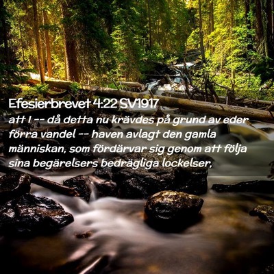 Picture 02 - Efesierbrevet 4:22 SV1917 - att I -- då detta nu krävdes på grund av eder - Bible Verse Picture