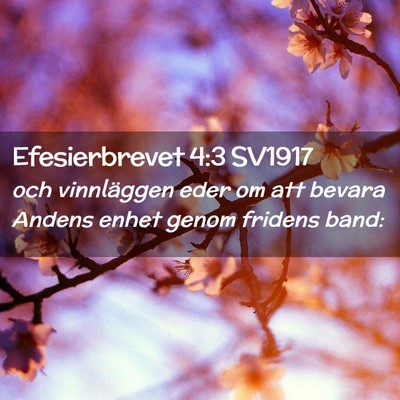 Picture 02 - Efesierbrevet 4:3 SV1917 - och vinnläggen eder om att bevara Andens enhet - Bible Verse Picture
