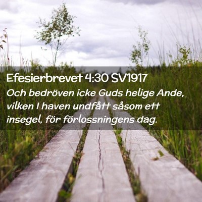Picture 02 - Efesierbrevet 4:30 SV1917 - Och bedröven icke Guds helige Ande, vilken I - Bible Verse Picture