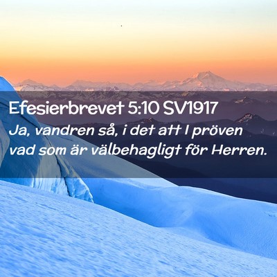Picture 02 - Efesierbrevet 5:10 SV1917 - Ja, vandren så, i det att I pröven vad som är - Bible Verse Picture