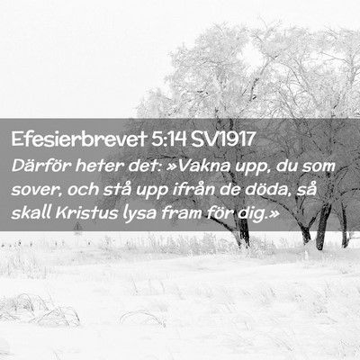 Picture 02 - Efesierbrevet 5:14 SV1917 - Därför heter det: »Vakna upp, du som sover, - Bible Verse Picture