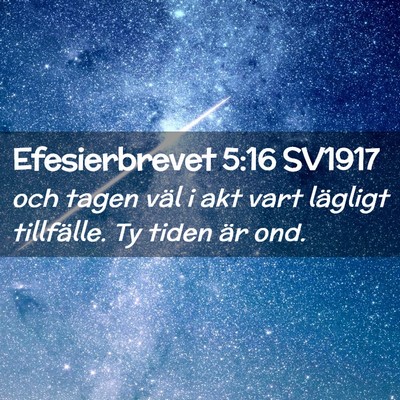 Picture 02 - Efesierbrevet 5:16 SV1917 - och tagen väl i akt vart lägligt tillfälle. Ty - Bible Verse Picture