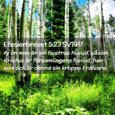 Picture 02 - Efesierbrevet 5:23 SV1917 - ty en man är sin hustrus huvud, såsom Kristus - Bible Verse Picture