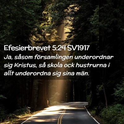Picture 02 - Efesierbrevet 5:24 SV1917 - Ja, såsom församlingen underordnar sig Kristus, - Bible Verse Picture