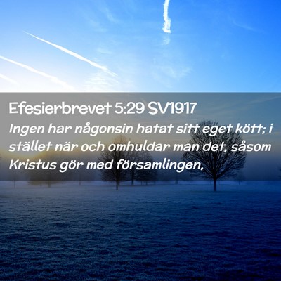 Picture 02 - Efesierbrevet 5:29 SV1917 - Ingen har någonsin hatat sitt eget kött; i - Bible Verse Picture