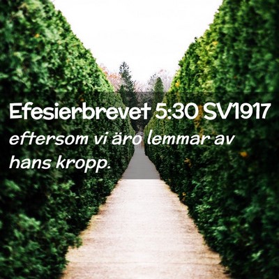 Picture 02 - Efesierbrevet 5:30 SV1917 - eftersom vi äro lemmar av hans - Bible Verse Picture