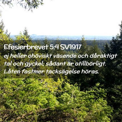 Picture 02 - Efesierbrevet 5:4 SV1917 - ej heller ohöviskt väsende och dåraktigt tal - Bible Verse Picture
