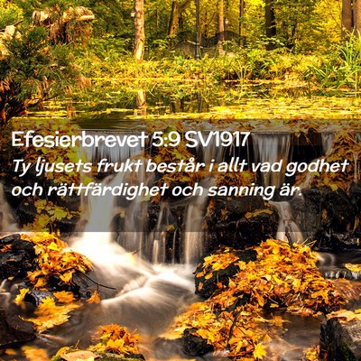 Picture 02 - Efesierbrevet 5:9 SV1917 - Ty ljusets frukt består i allt vad godhet och - Bible Verse Picture