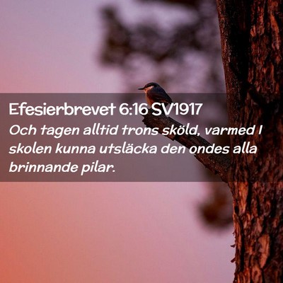 Picture 02 - Efesierbrevet 6:16 SV1917 - Och tagen alltid trons sköld, varmed I skolen - Bible Verse Picture