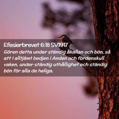 Picture 02 - Efesierbrevet 6:18 SV1917 - Gören detta under ständig åkallan och bön, - Bible Verse Picture