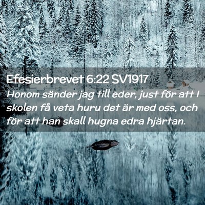 Picture 02 - Efesierbrevet 6:22 SV1917 - Honom sänder jag till eder, just för att I - Bible Verse Picture