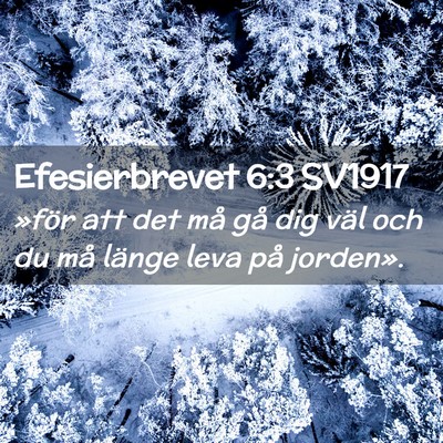 Picture 02 - Efesierbrevet 6:3 SV1917 - »för att det må gå dig väl och du må länge - Bible Verse Picture