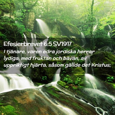 Picture 02 - Efesierbrevet 6:5 SV1917 - I tjänare, varen edra jordiska herrar lydiga, - Bible Verse Picture