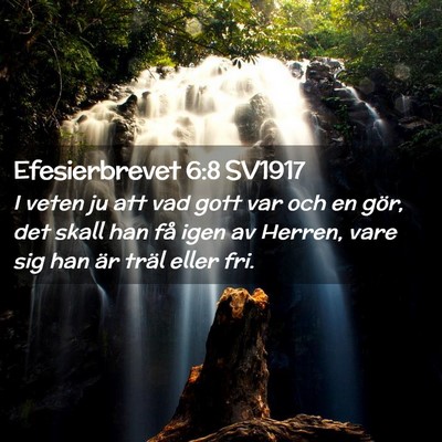 Picture 02 - Efesierbrevet 6:8 SV1917 - I veten ju att vad gott var och en gör, det - Bible Verse Picture