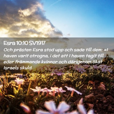 Picture 02 - Esra 10:10 SV1917 - Och prästen Esra stod upp och sade till dem: »I - Bible Verse Picture
