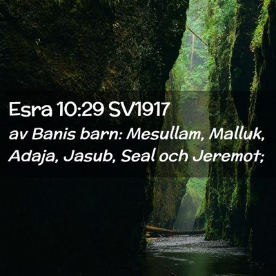 Picture 02 - Esra 10:29 SV1917 - av Banis barn: Mesullam, Malluk, Adaja, Jasub, - Bible Verse Picture