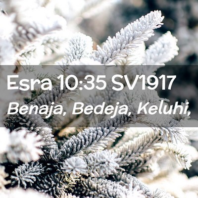 Picture 02 - Esra 10:35 SV1917 - Benaja, Bedeja, - Bible Verse Picture