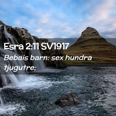 Picture 02 - Esra 2:11 SV1917 - Bebais barn: sex hundra - Bible Verse Picture