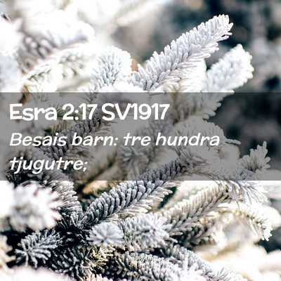 Picture 02 - Esra 2:17 SV1917 - Besais barn: tre hundra - Bible Verse Picture