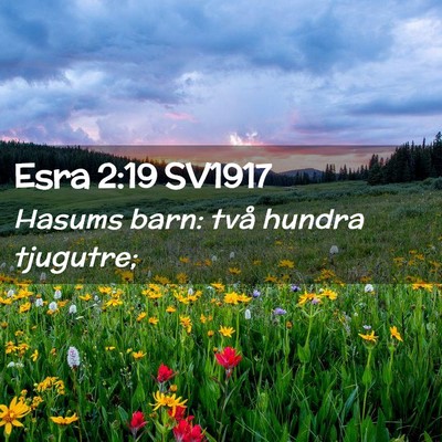 Picture 02 - Esra 2:19 SV1917 - Hasums barn: två hundra - Bible Verse Picture