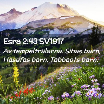 Picture 02 - Esra 2:43 SV1917 - Av tempelträlarna: Sihas barn, Hasufas barn, - Bible Verse Picture