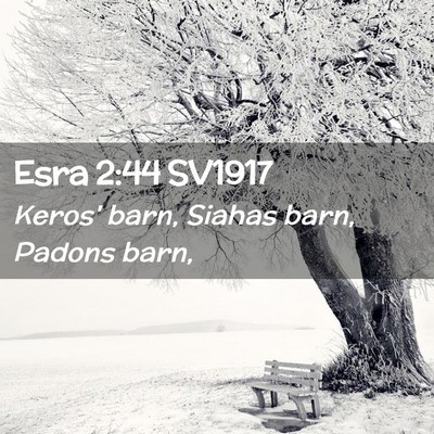 Picture 02 - Esra 2:44 SV1917 - Keros' barn, Siahas barn, Padons - Bible Verse Picture